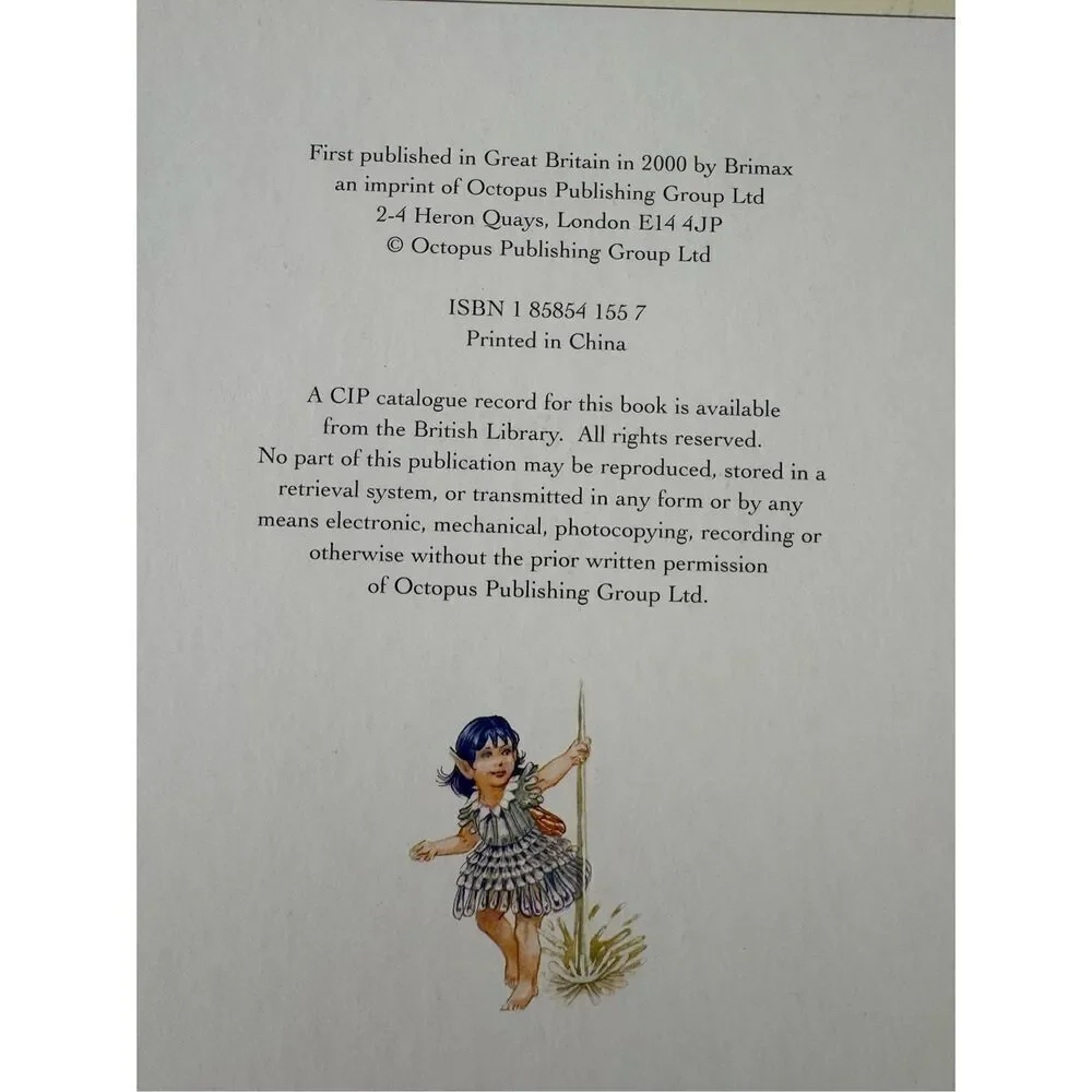 Rainy Day Fairies 2000 hardback children’s book
